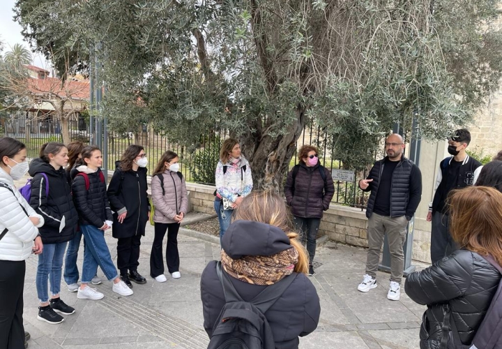 "See the Beauty, Save the Planet" - Mobilidade ao Chipre